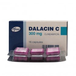 Далацин Ц капсулы 300мг N16 в Вологде и области фото