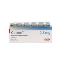 Гутрон таблетки 2,5 мг. №20 в Вологде и области фото