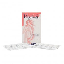 Вагикаль суппозитории вагинальные 150 мг N10 в Вологде и области фото